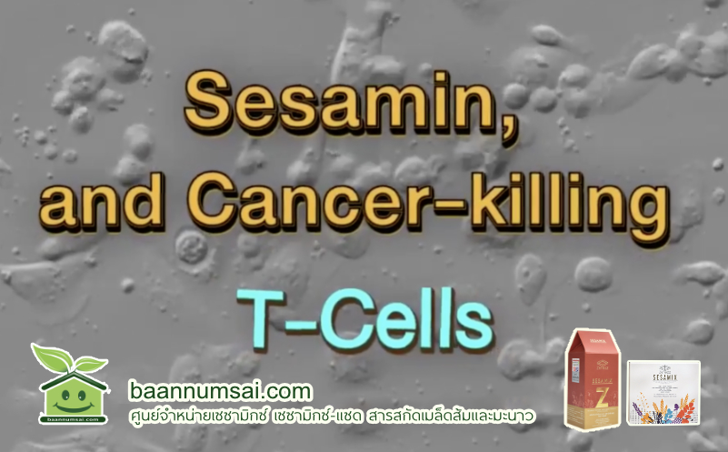 สารเซซามินบริสุทธิ์ กระตุ้นเม็ดเลือดขาว เซลล์เพชฌฆาต