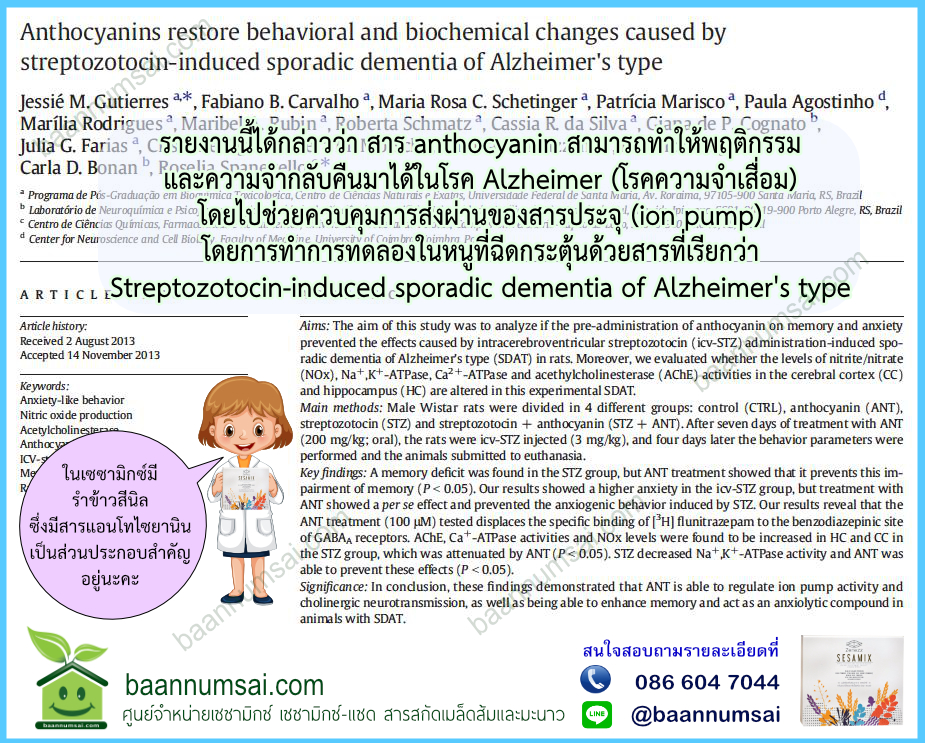 งานวิจัยรำข้าวสีนิล ช่วยป้องกันอัลไซเมอร์ได้