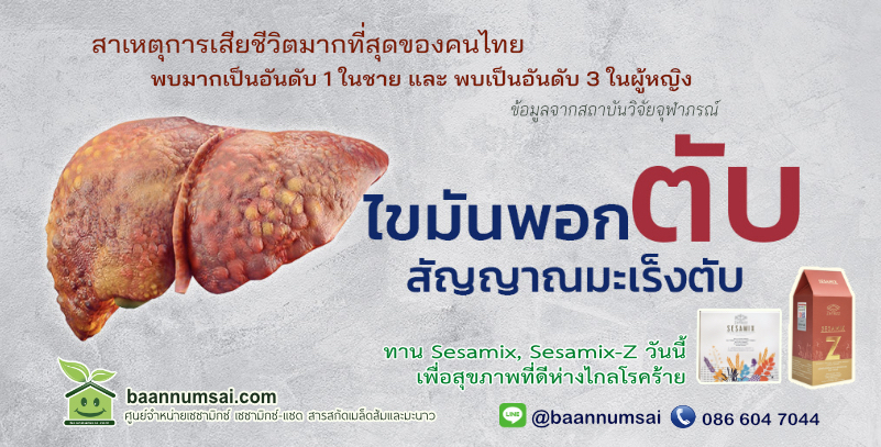 ไขมันพอกตับ ทาน เซซามิกซ์แซด มีสารเฮสเพอริดิน ช่วยป้องกันได้