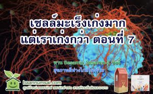 มะเร็งเก่งมากแต่เราเก่งกว่า ตอนที่ 7