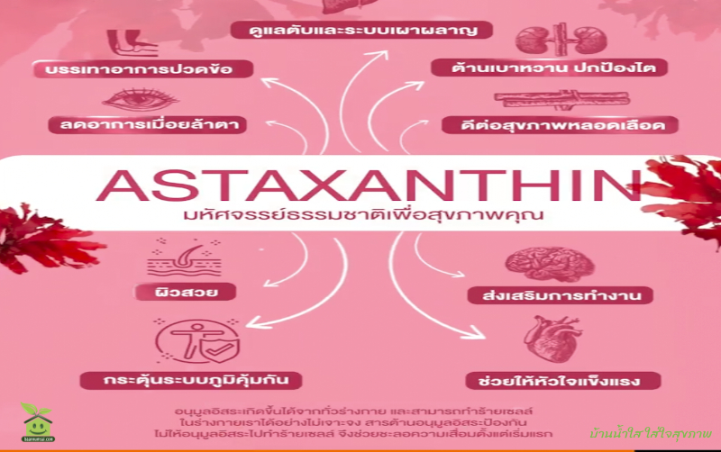 สาหร่ายแดงมหัศจรรย์ธรรมชาติ